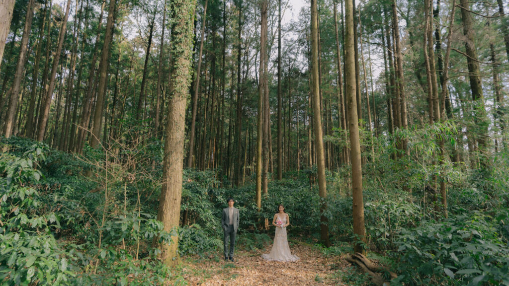 mugi wedding（ムギウェディング） | アルプスの森のウェディングフォト